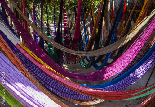 hammock photo