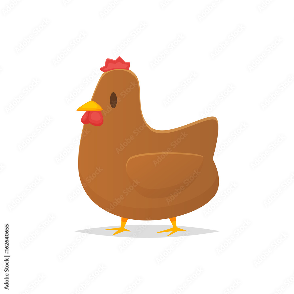 Chicken vector isolated illustration
