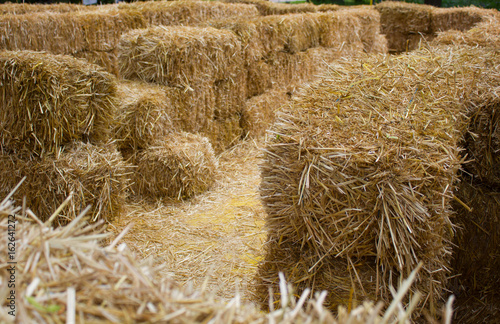Wallpaper Mural a maze of hay Torontodigital.ca