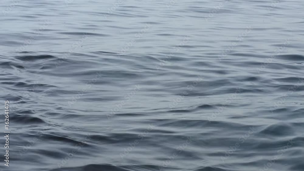 Surface of Sea Water Surface of Sea Water