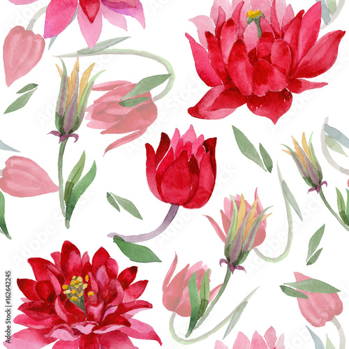 Wildflower Aquilegia flower pattern in a watercolor style isolated. Full name of the plant  Aquilegia. Aquarelle wild flower for background  texture  wrapper pattern  frame or border.