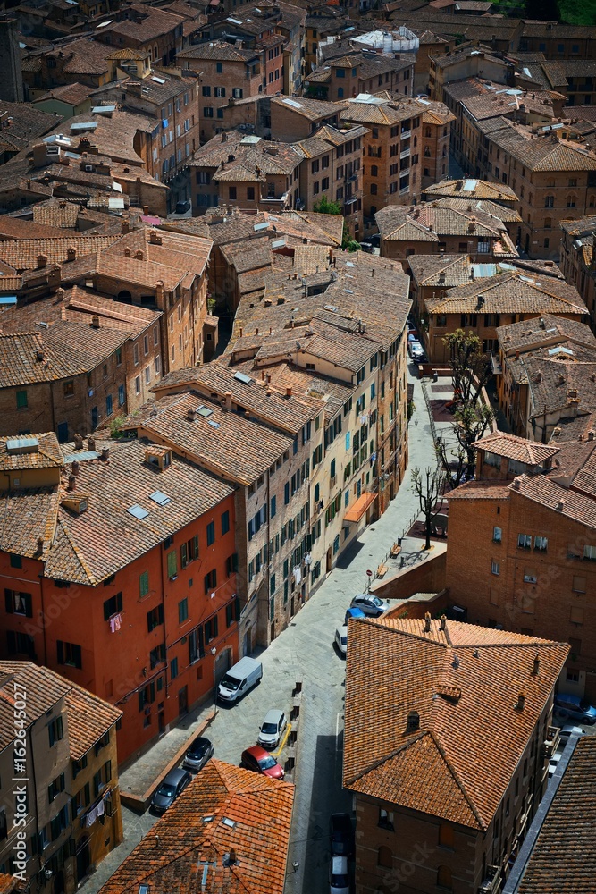 Siena rooftop view