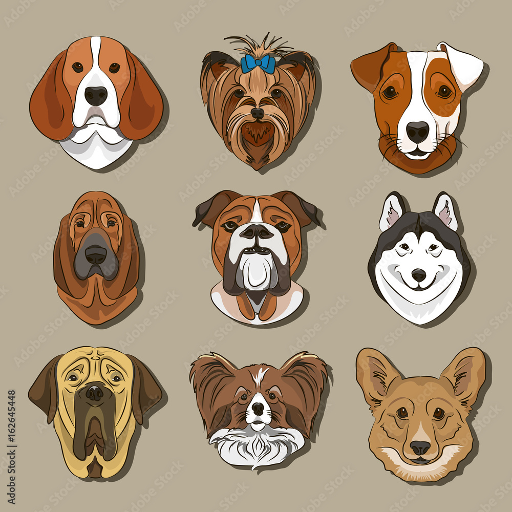 Vector illustration of different dogs breed Vector illustration of different dogs breed