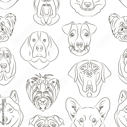 Vector illustration of different dogs breed