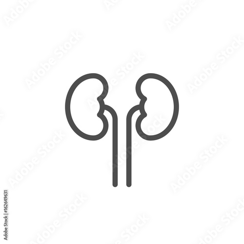 Kidneys line icon photo