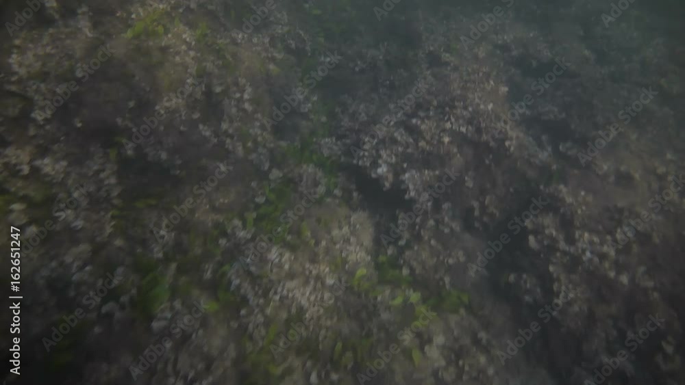 Underwater video shooting on the beach of Mallorca. Underwater video shooting on the beach of Mallorca.