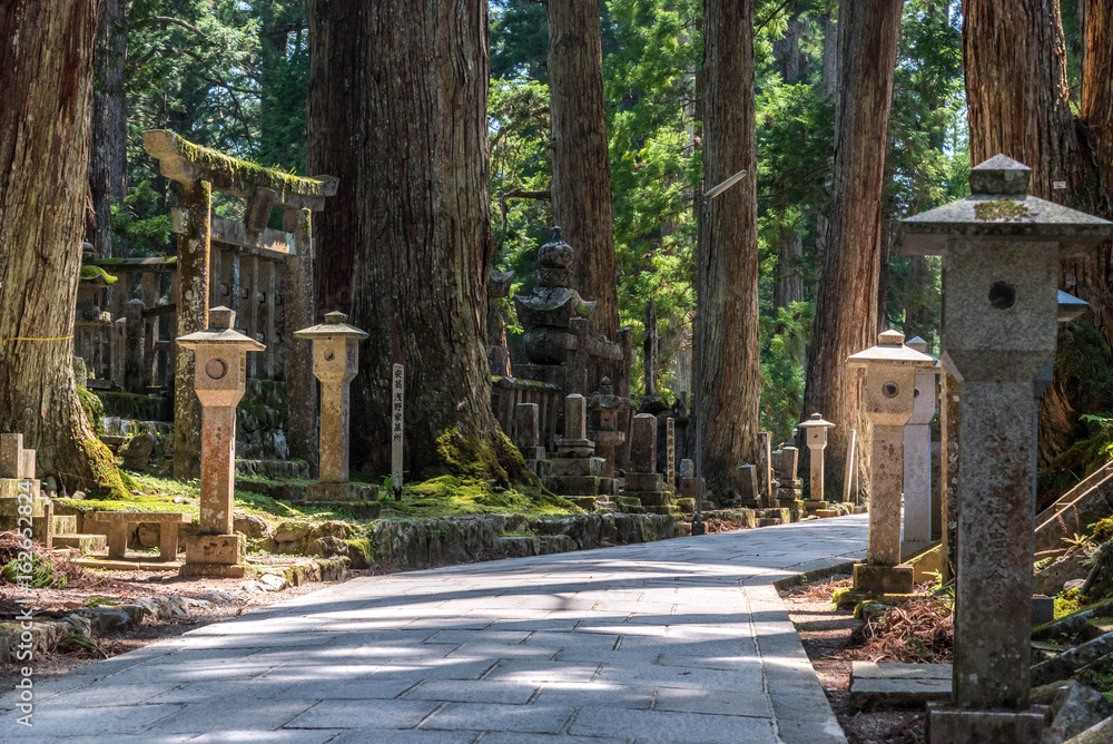 Old traditional Japanese cemetery under tall trees in Koyasan (Mount Koya)