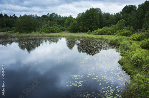 Fototapeta Naklejka Na Ścianę i Meble -  Still lake landscape in summer. Ladoga