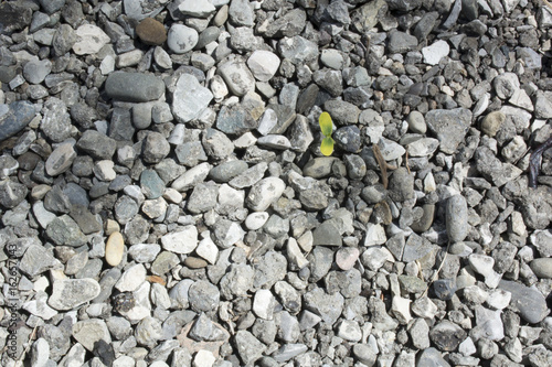 texture, Stones, 