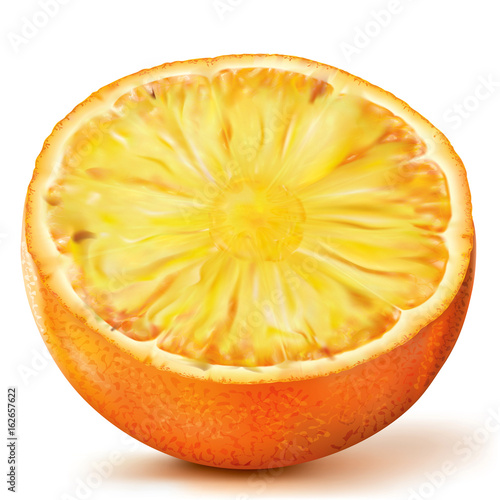 Composition Citrus with Pineapple