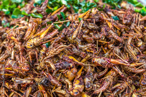 Geröstete Insektenlarven