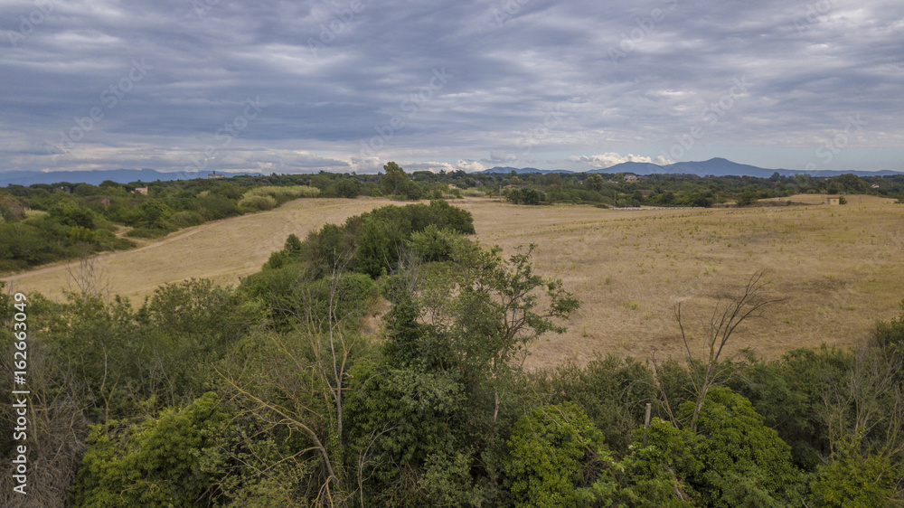 vista di un paesaggio bucolico con alberi e campi di grano in estate durante una giornata nuvolosa vista di un paesaggio bucolico con alberi e campi di grano in estate durante una giornata nuvolosa