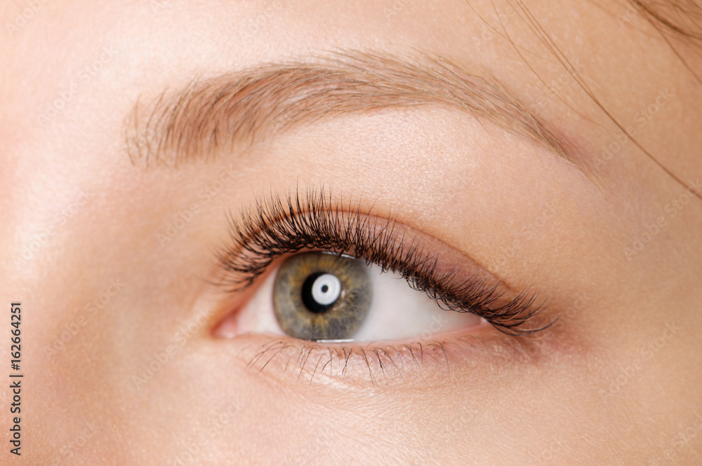 Closeup shot of female eye with day makeup Closeup shot of female eye with day makeup