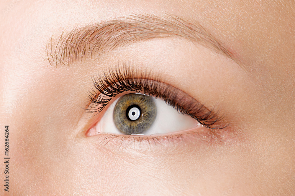 Fototapeta premium Closeup shot of female eye with day makeup