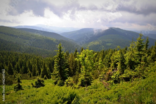 Karkonosze, Polska, zielony las i pochmurne niebo