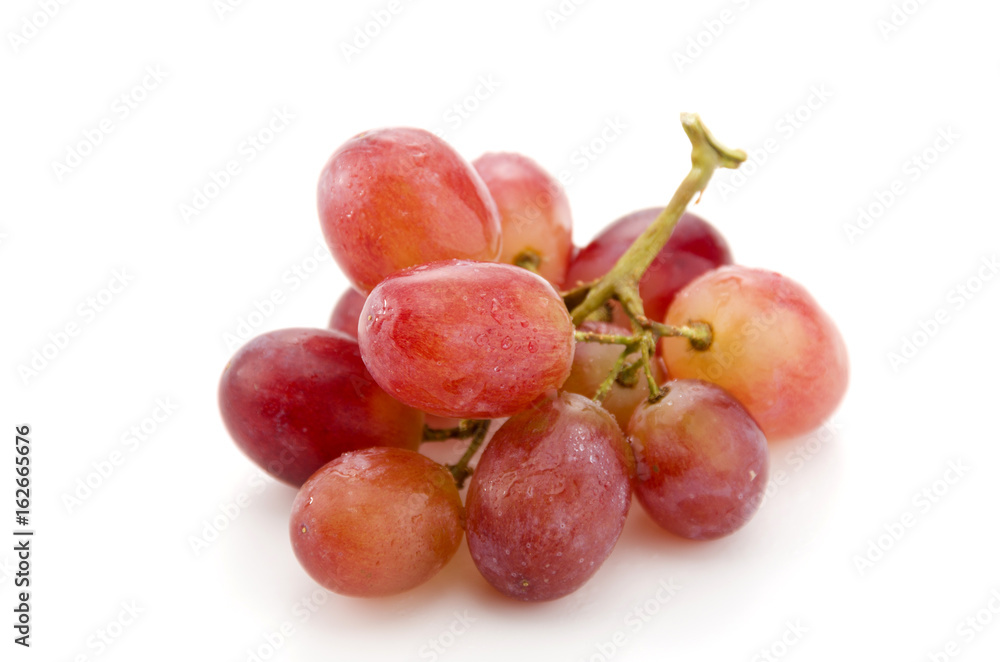 Obraz premium 赤ぶどう クリムゾン