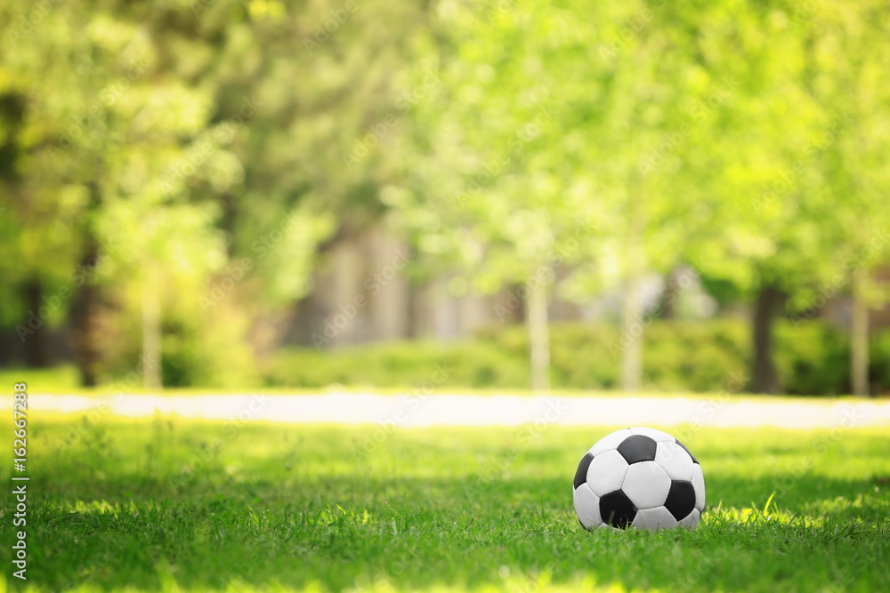 Obraz premium Soccer ball on green grass in park