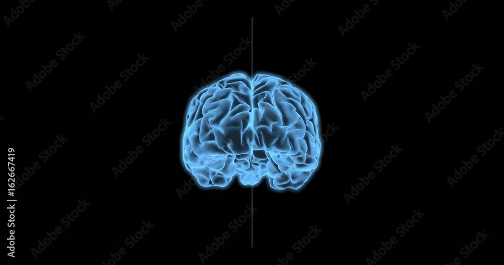Brain scan concept / 3D animation of digital medical scanner plane moving through rotating human brain in endless loop Brain scan concept / 3D animation of digital medical scanner plane moving through rotating human brain in endless loop