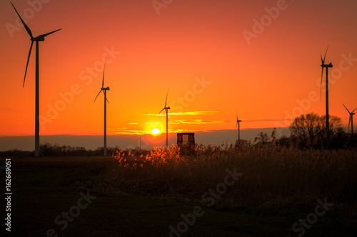 Wind park while sunset