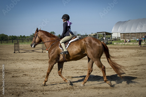 Girl showing chestnut gelding © Leah Smalley 