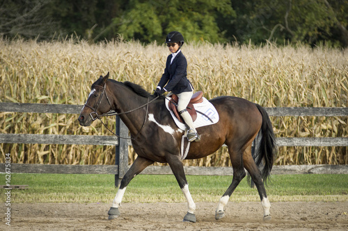 Horse and Rider trotting
