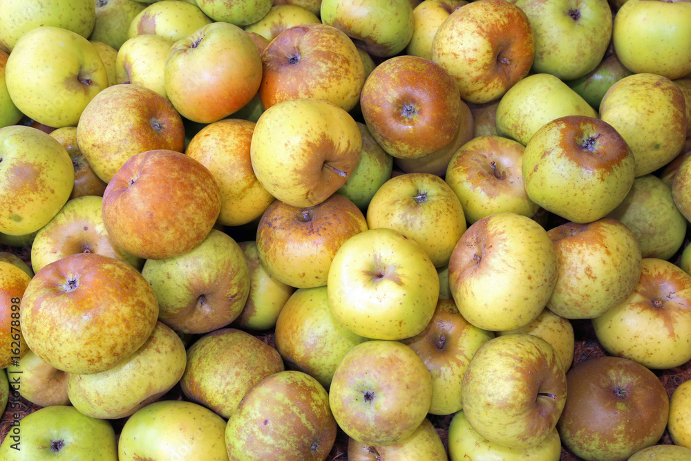 green organic apples for sale at fruit market