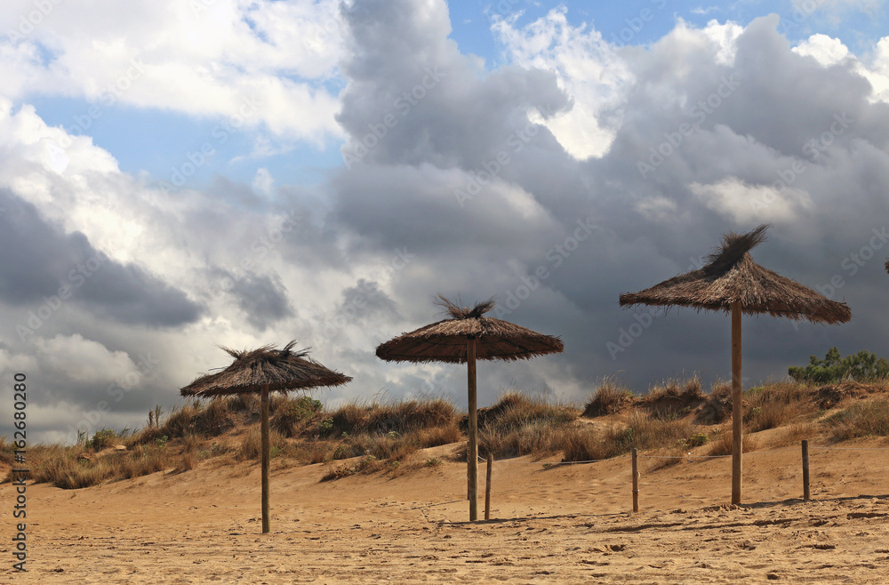 Straw umbrellas on the beach