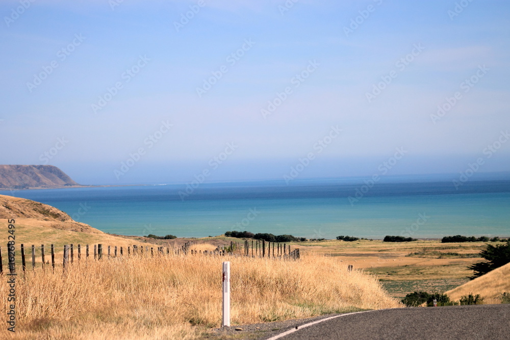 Coastal Country Road