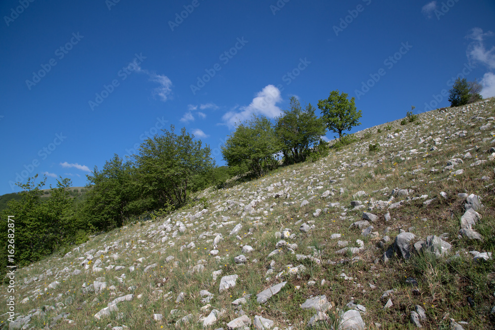 Parco Nazionale del Cilento e Vallo di Diano, primavera