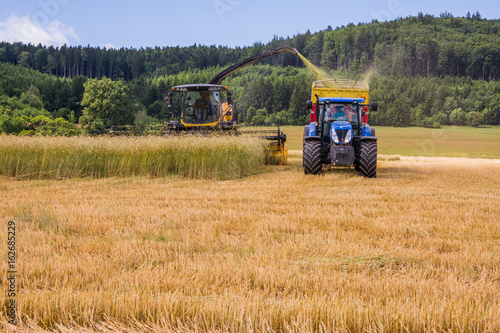 Combines harvesting grains and filling tractor trailer in summer on field