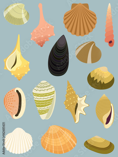 Seashells collection isolated on azure background