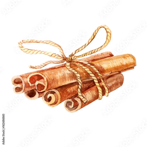 Naklejka na ścianę Akwarela pachnący laska cynamonu obrazu. Ikona ilustracja cynamon na białym tle. Ręcznie rysowane akwarele ręcznie rysowane przedmioty żywności
