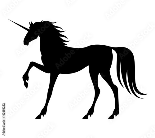 Silhouette mycology  unicorn