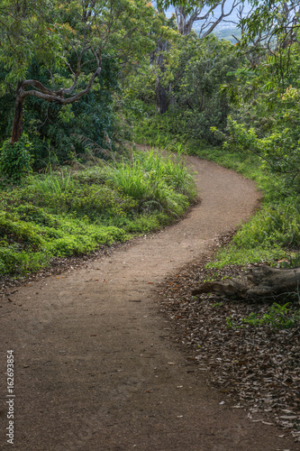A hike through the forest