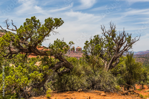 Sedona Red Rocks landscape