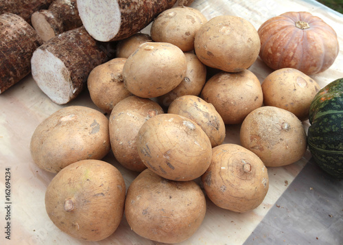 market jicama