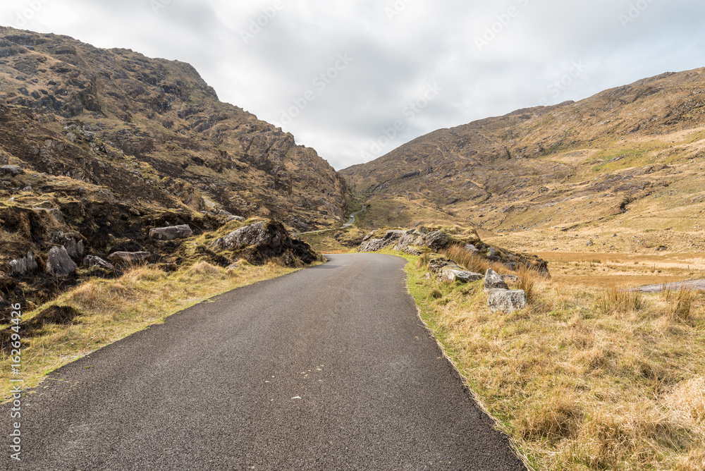 Road in Killarney National Park