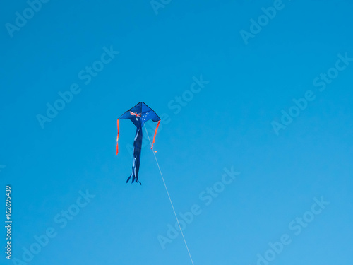 Kite Of Australia flag photo