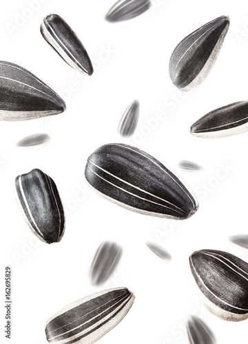 sunflower seeds isolated white background