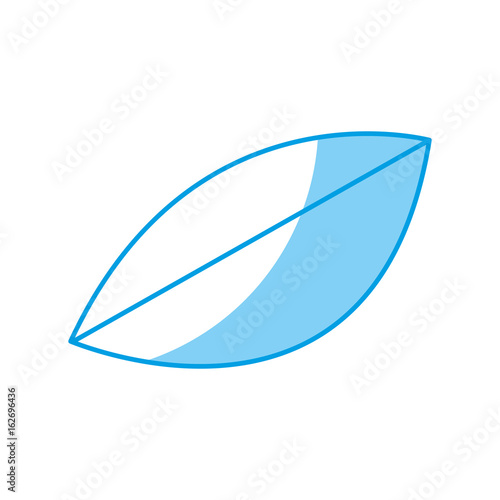 leaf icon image