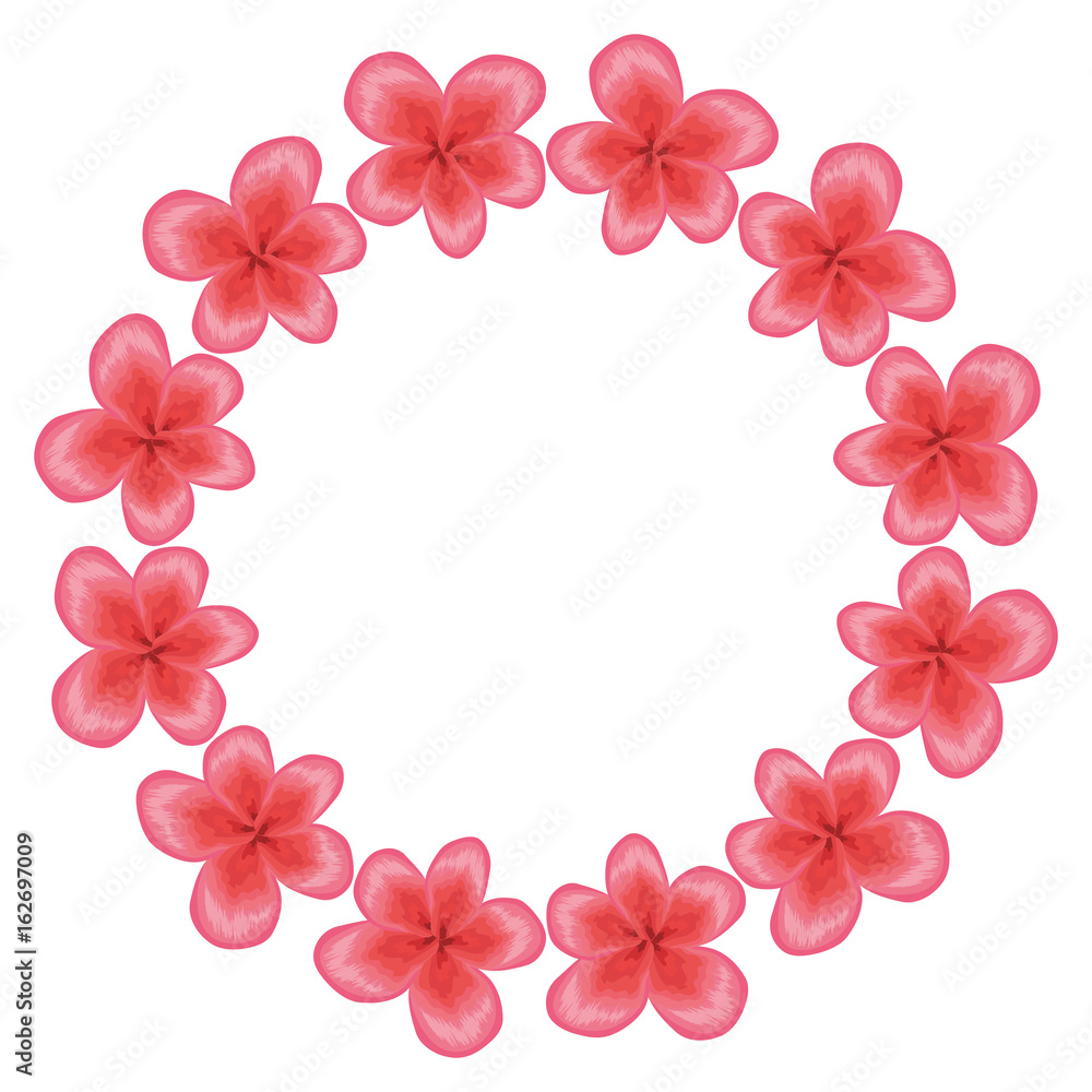tropical flower decorative frame vector illustration design