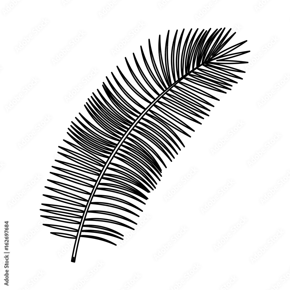 tropical leafs decorative icon vector illustration design