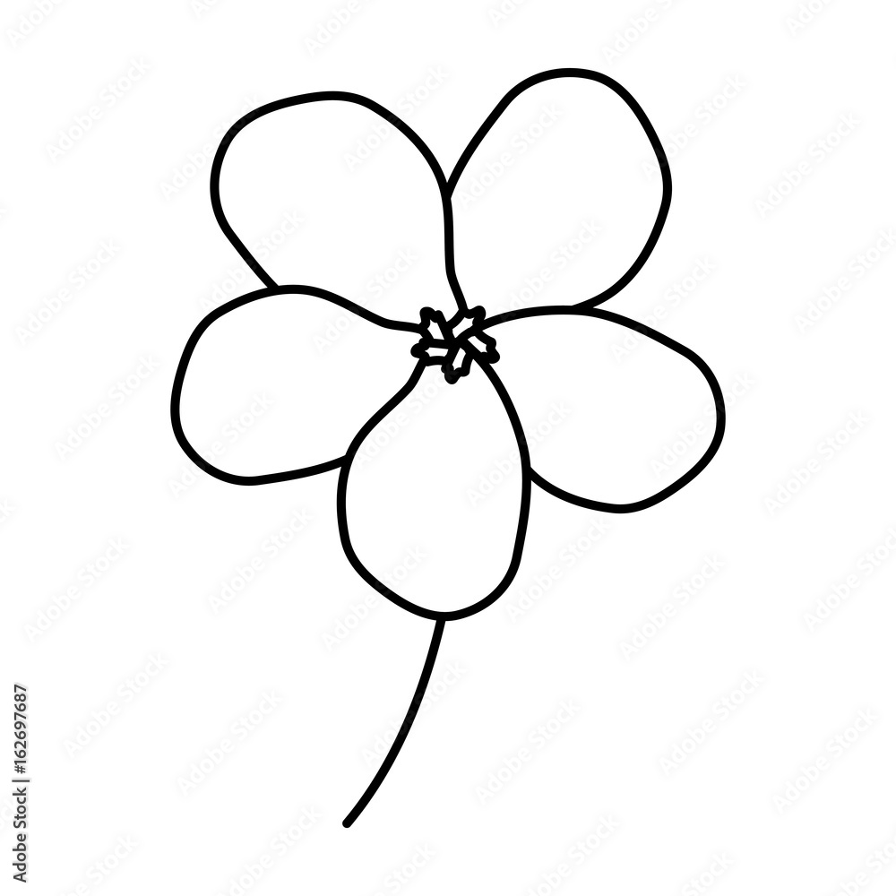 tropical flower decorative icon vector illustration design tropical flower decorative icon vector illustration design