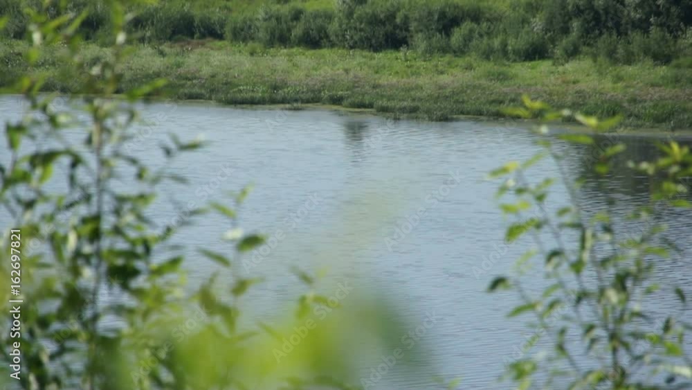 summer river and forest at riverside summer river and forest at riverside