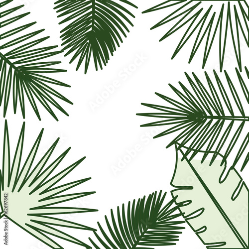 tropical leafs pattern background vector illustration design