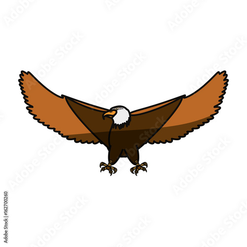 Hawk eagle symbol