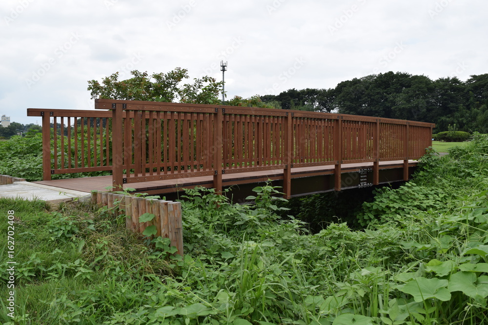 Obraz premium 公園の小川を渡る橋