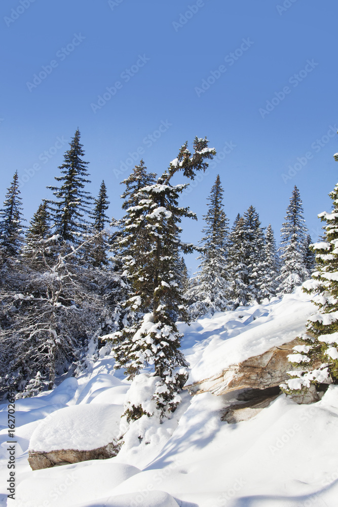 Mountain range Zuratkul, winter landscape. Snowdrifts near forest Mountain range Zuratkul, winter landscape. Snowdrifts near forest