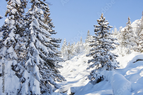 Mountain range Zuratkul, winter landscape. Snowdrifts near forest