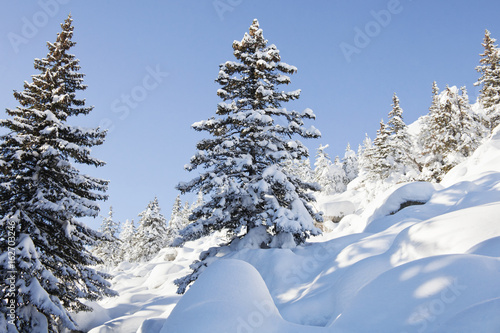 Mountain range Zuratkul, winter landscape. Snowdrifts near forest